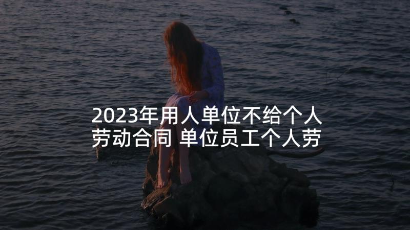 2023年用人单位不给个人劳动合同 单位员工个人劳动合同(优秀5篇)