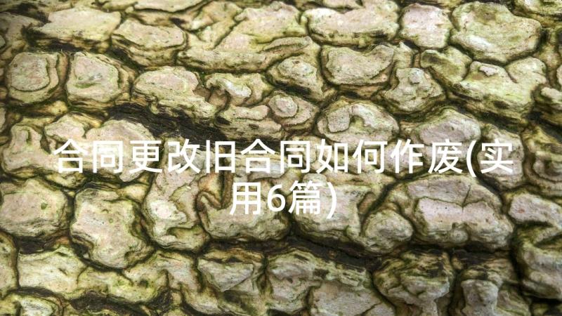 合同更改旧合同如何作废(实用6篇)