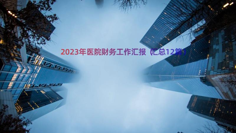 2023年医院财务工作汇报（汇总12篇）