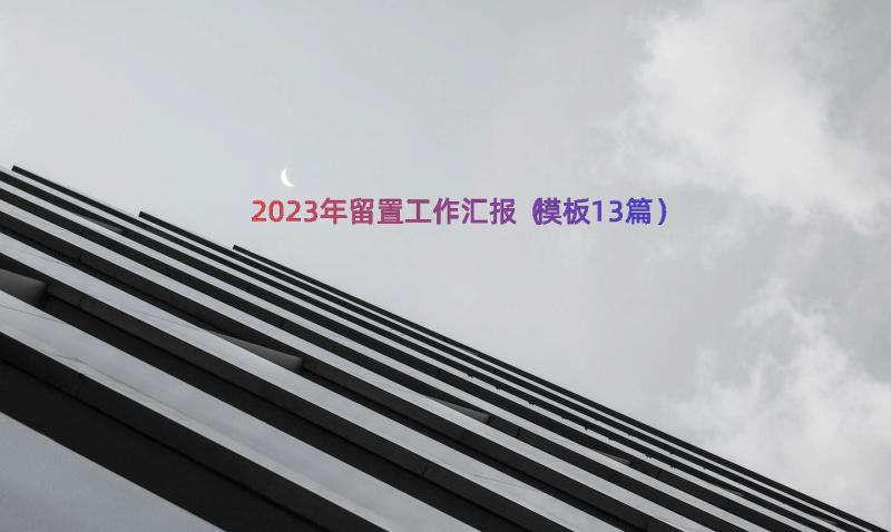 2023年留置工作汇报（模板13篇）