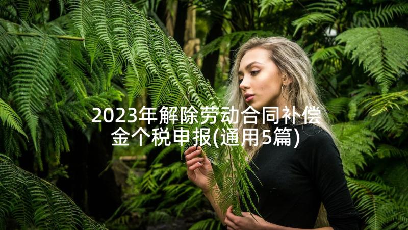 2023年解除劳动合同补偿金个税申报(通用5篇)