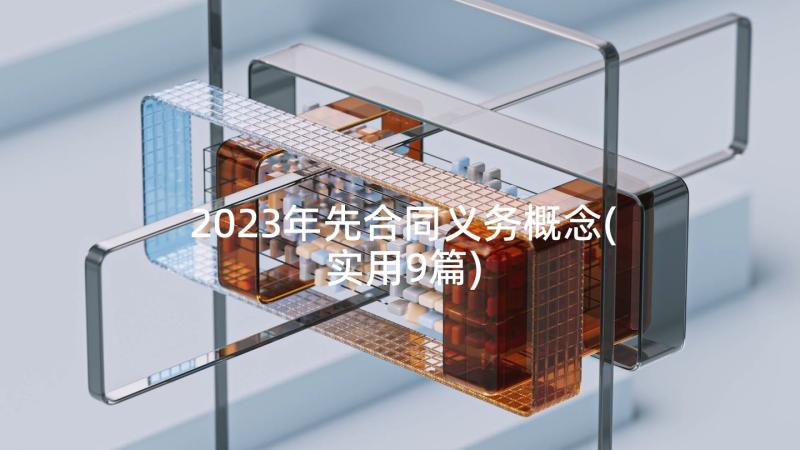 2023年先合同义务概念(实用9篇)