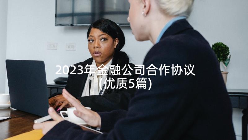 2023年金融公司合作协议(优质5篇)