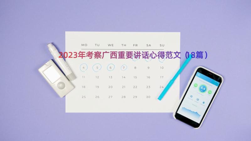 2023年考察广西重要讲话心得范文（18篇）