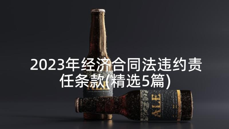 2023年经济合同法违约责任条款(精选5篇)