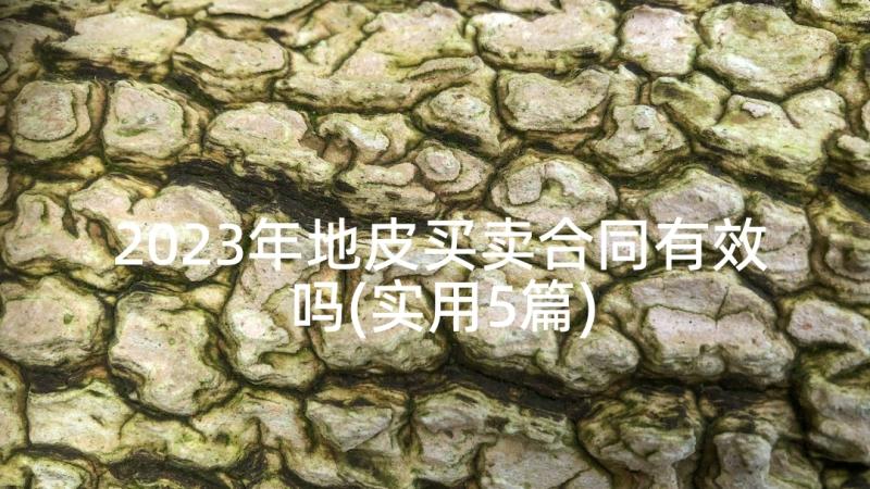 2023年地皮买卖合同有效吗(实用5篇)