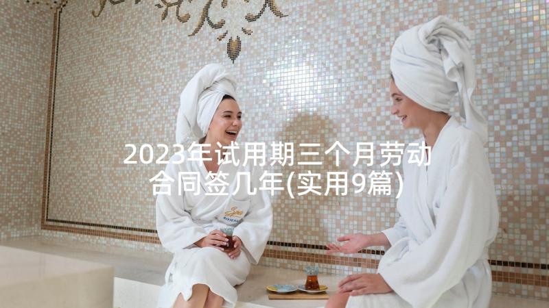 2023年试用期三个月劳动合同签几年(实用9篇)