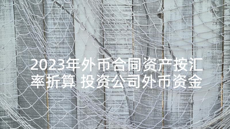 2023年外币合同资产按汇率折算 投资公司外币资金转贷款合同(汇总5篇)