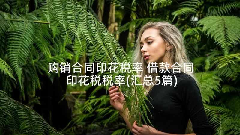 购销合同印花税率 借款合同印花税税率(汇总5篇)