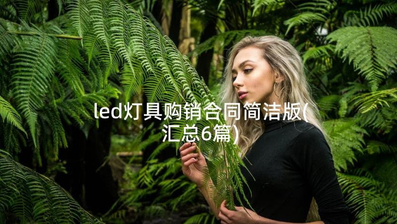 led灯具购销合同简洁版(汇总6篇)