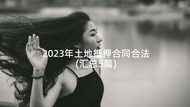 2023年土地抵押合同合法(汇总5篇)