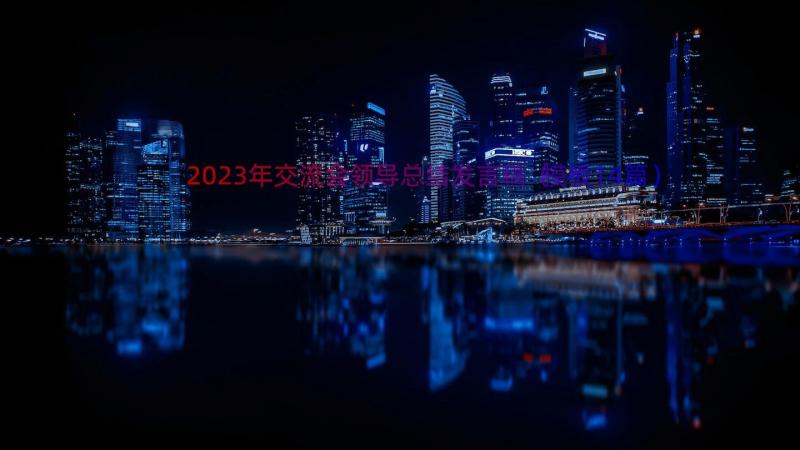 2023年交流会领导总结发言稿（模板14篇）