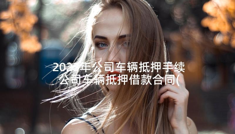 2023年公司车辆抵押手续 公司车辆抵押借款合同(优质5篇)