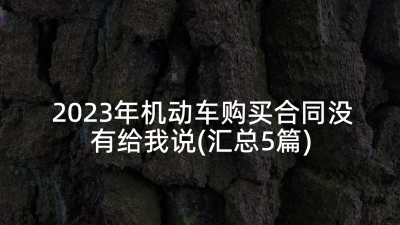 2023年机动车购买合同没有给我说(汇总5篇)