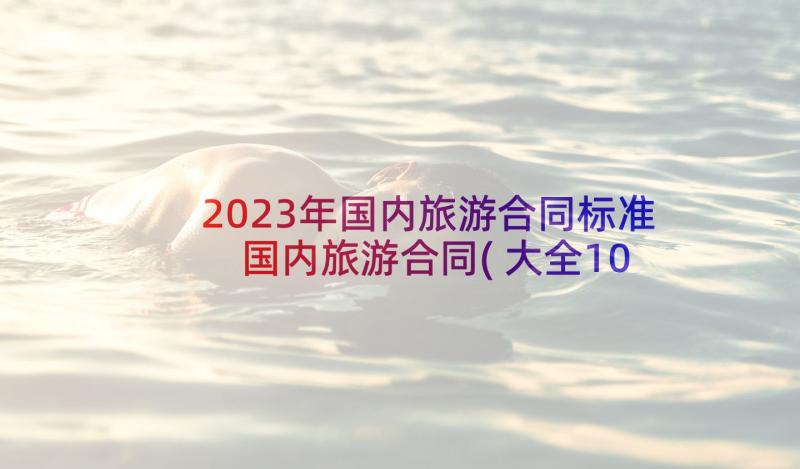 2023年国内旅游合同标准 国内旅游合同(大全10篇)