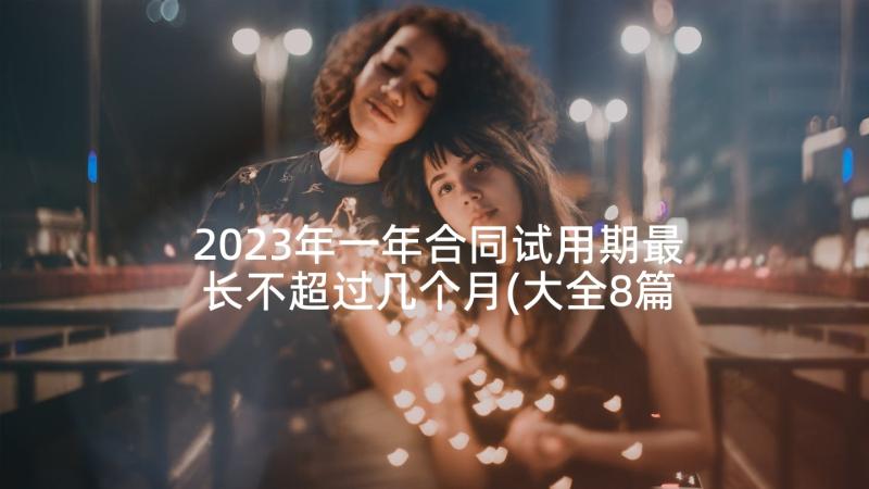 2023年一年合同试用期最长不超过几个月(大全8篇)