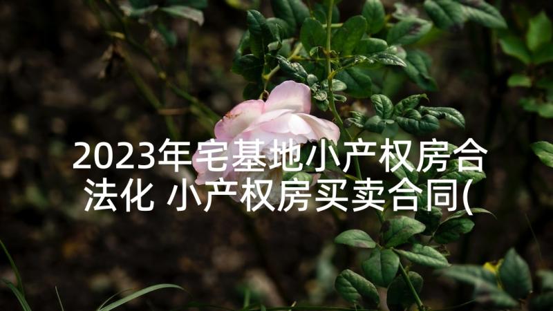 2023年宅基地小产权房合法化 小产权房买卖合同(汇总10篇)