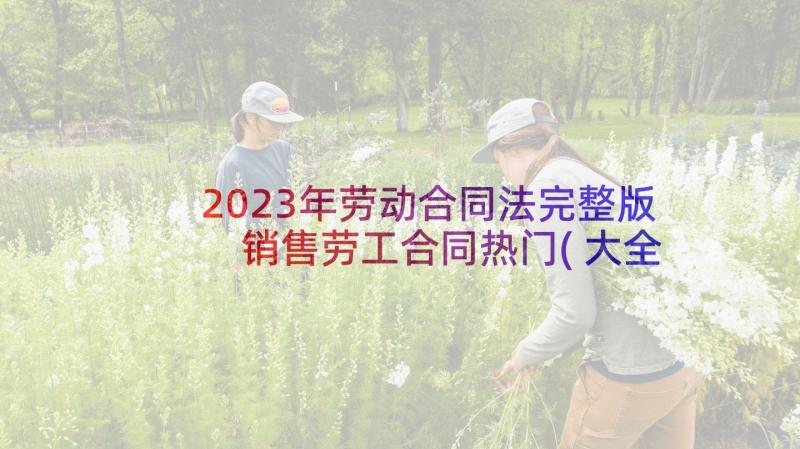 2023年劳动合同法完整版 销售劳工合同热门(大全5篇)