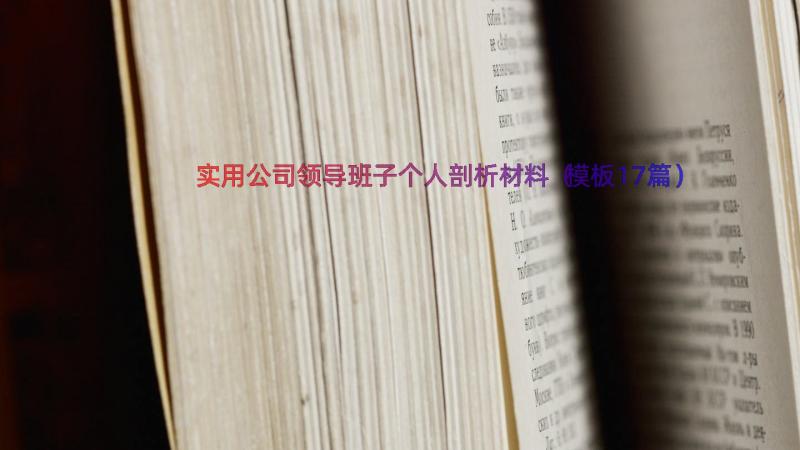 实用公司领导班子个人剖析材料（模板17篇）