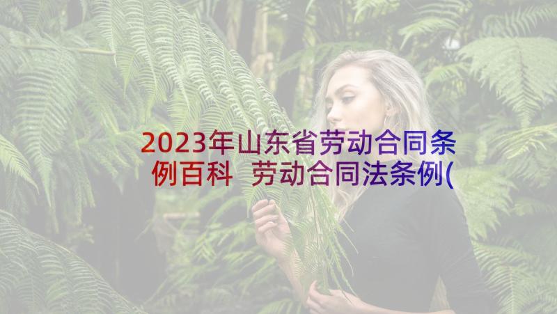 2023年山东省劳动合同条例百科 劳动合同法条例(精选10篇)