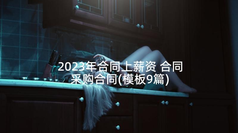 2023年合同上薪资 合同采购合同(模板9篇)