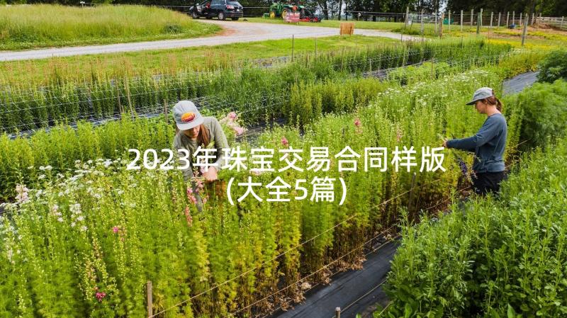 2023年珠宝交易合同样版(大全5篇)