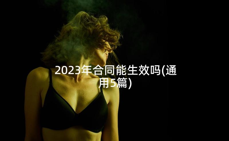 2023年合同能生效吗(通用5篇)