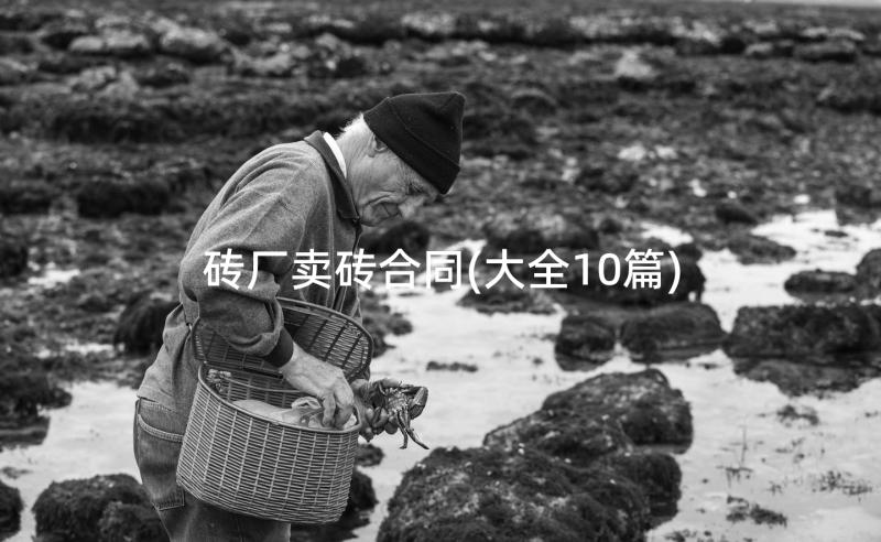 砖厂卖砖合同(大全10篇)