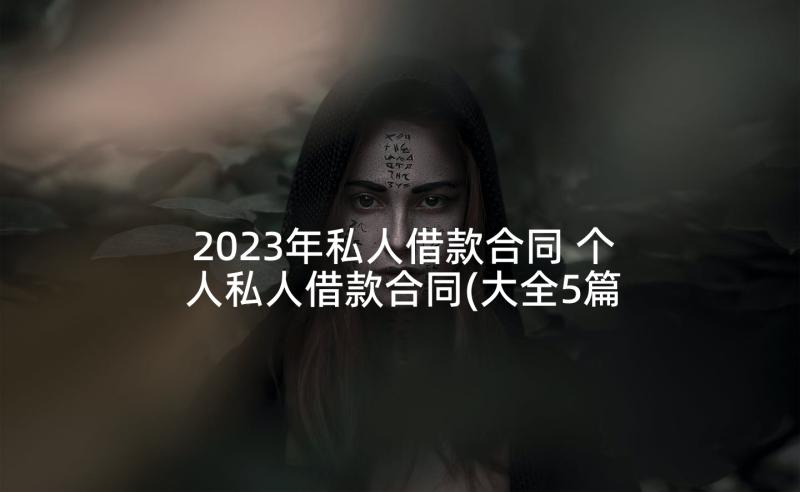 2023年私人借款合同 个人私人借款合同(大全5篇)