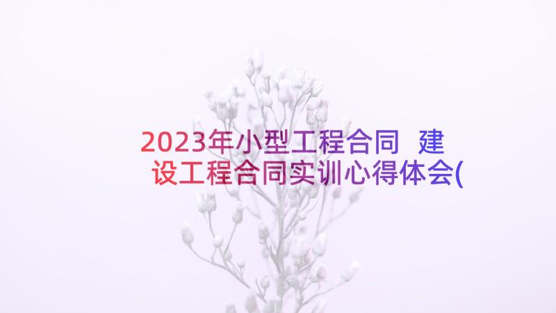 2023年小型工程合同 建设工程合同实训心得体会(通用8篇)