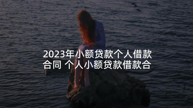 2023年小额贷款个人借款合同 个人小额贷款借款合同(模板5篇)