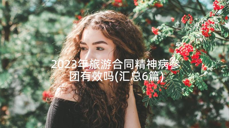 2023年旅游合同精神病参团有效吗(汇总6篇)