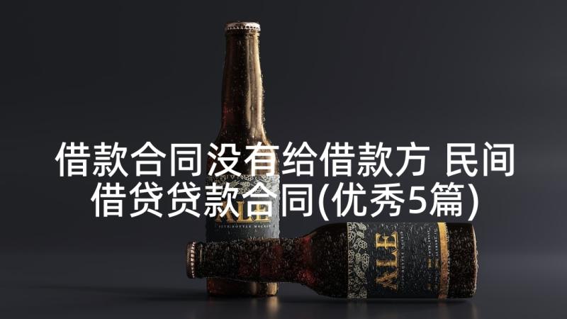 借款合同没有给借款方 民间借贷贷款合同(优秀5篇)