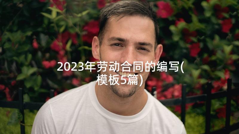 2023年劳动合同的编写(模板5篇)