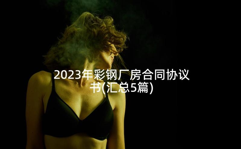 2023年彩钢厂房合同协议书(汇总5篇)