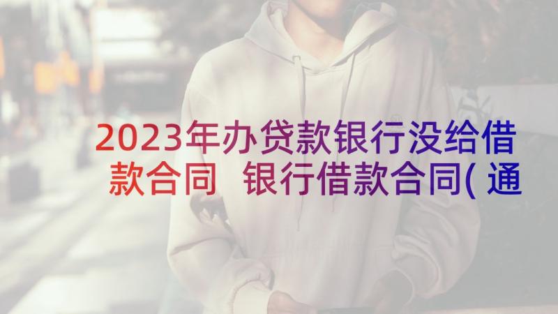 2023年办贷款银行没给借款合同 银行借款合同(通用8篇)