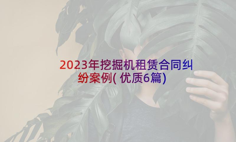 2023年挖掘机租赁合同纠纷案例(优质6篇)