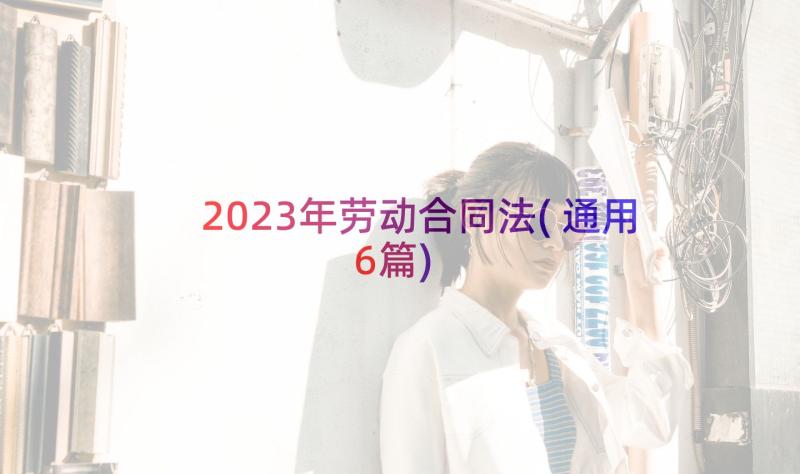 2023年劳动合同法(通用6篇)