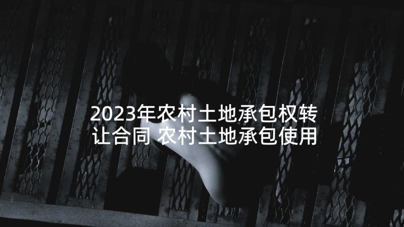 2023年农村土地承包权转让合同 农村土地承包使用权转让合同(通用10篇)