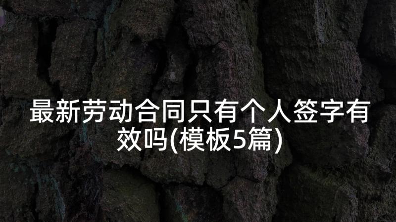 最新劳动合同只有个人签字有效吗(模板5篇)