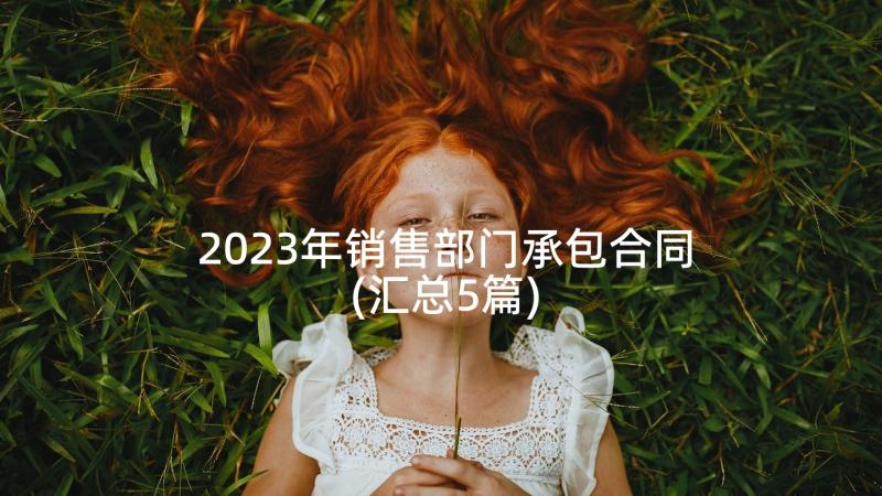 2023年销售部门承包合同(汇总5篇)