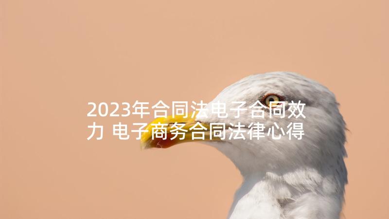 2023年合同法电子合同效力 电子商务合同法律心得体会(优质5篇)