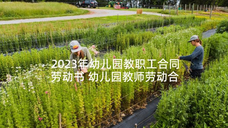 2023年幼儿园教职工合同劳动书 幼儿园教师劳动合同(大全5篇)