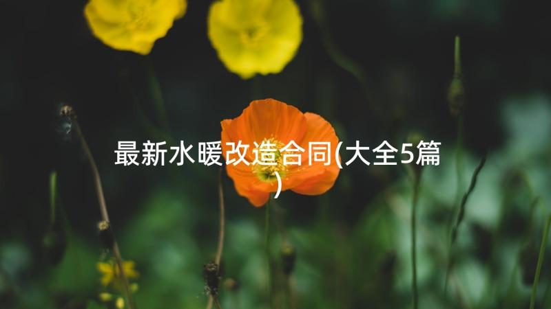 最新水暖改造合同(大全5篇)