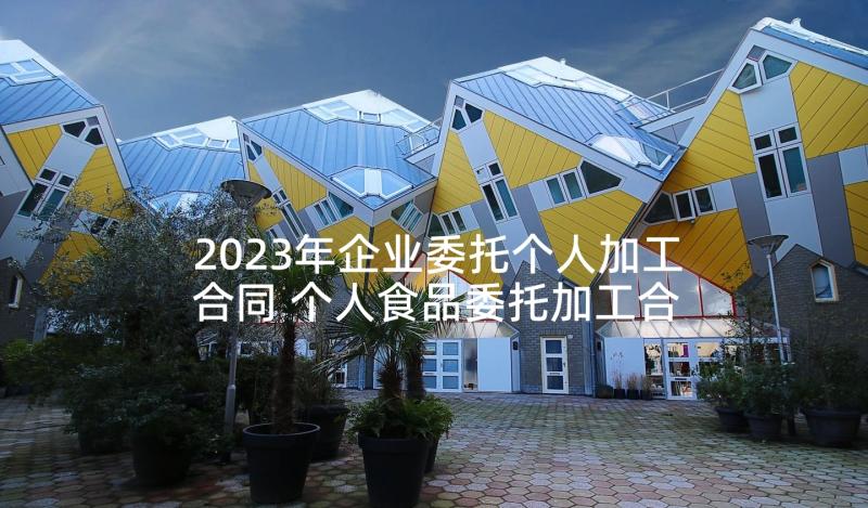 2023年企业委托个人加工合同 个人食品委托加工合同(优质5篇)