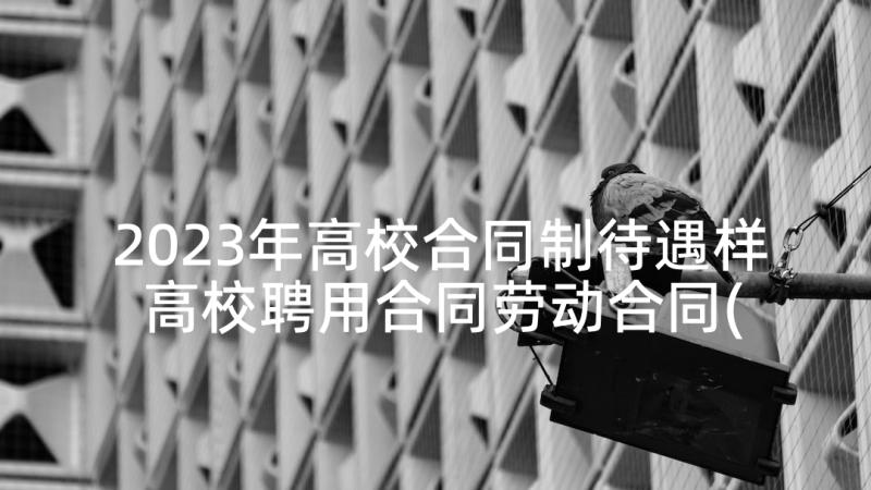 2023年高校合同制待遇样 高校聘用合同劳动合同(精选5篇)