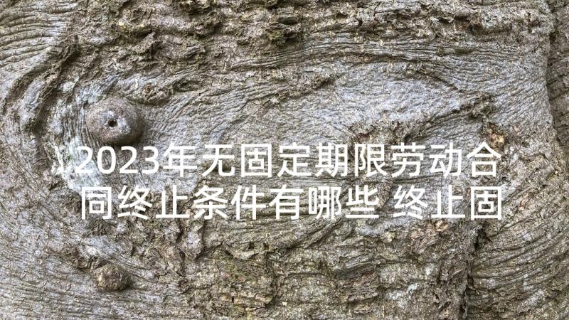 2023年无固定期限劳动合同终止条件有哪些 终止固定期限劳动合同(精选6篇)