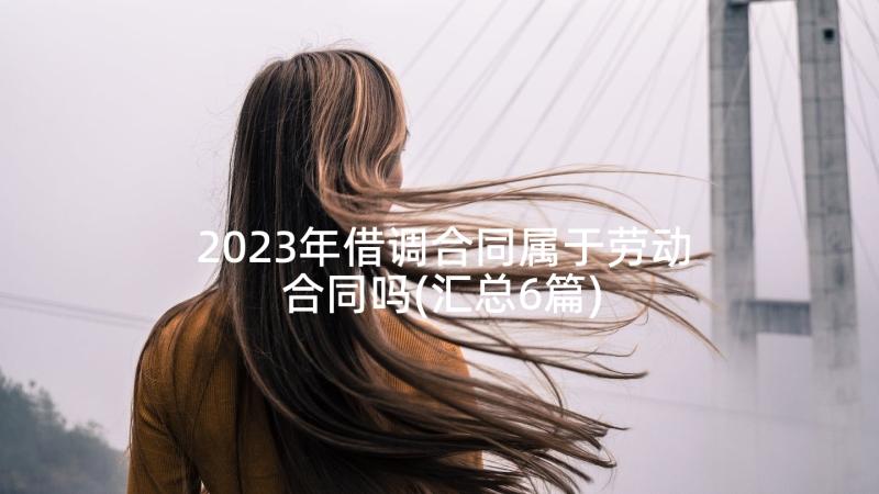 2023年借调合同属于劳动合同吗(汇总6篇)