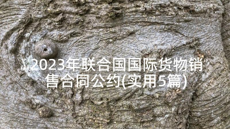 2023年联合国国际货物销售合同公约(实用5篇)