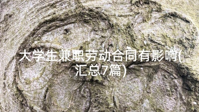 大学生兼职劳动合同有影响(汇总7篇)